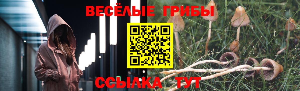 Псилоцибиновые грибы MAGIC MUSHROOMS Лянтор